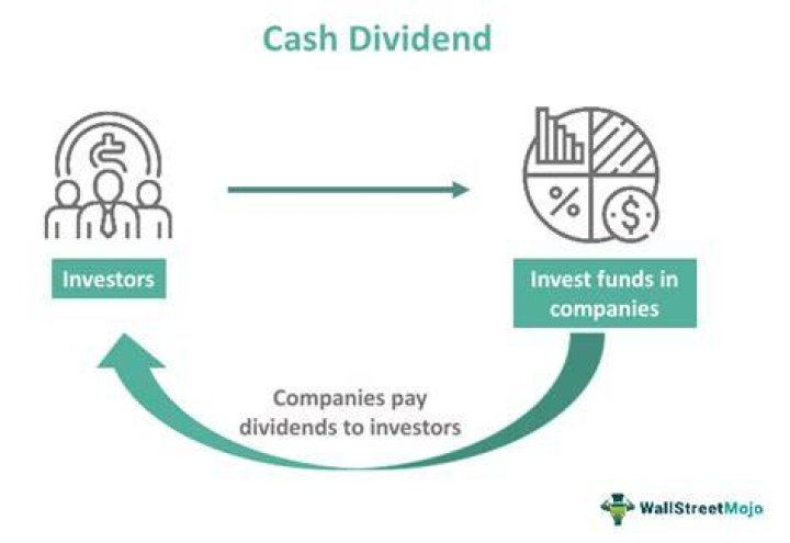 Is a dividend A cash payment to owners?
